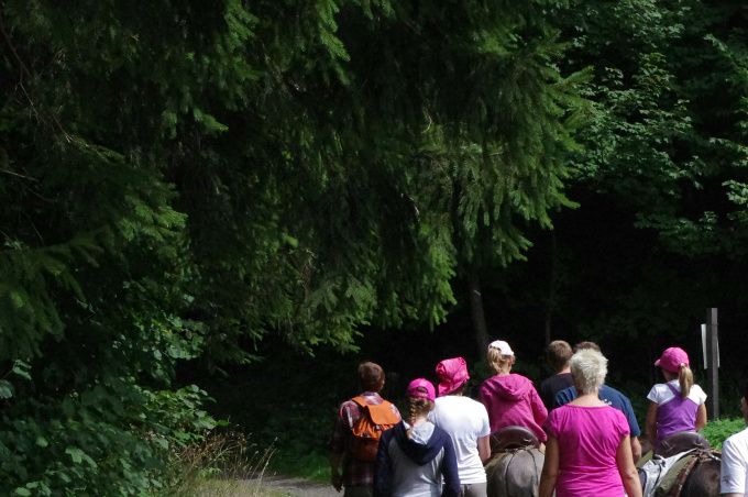 

Promenades en pleine nature, dans la campagne et en forêt.
